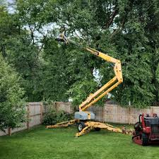 Best Hazardous Tree Removal  in North Fond Du Lac, WI